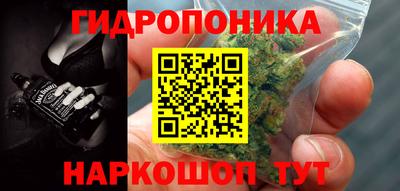 мяу мяу мука Аргун